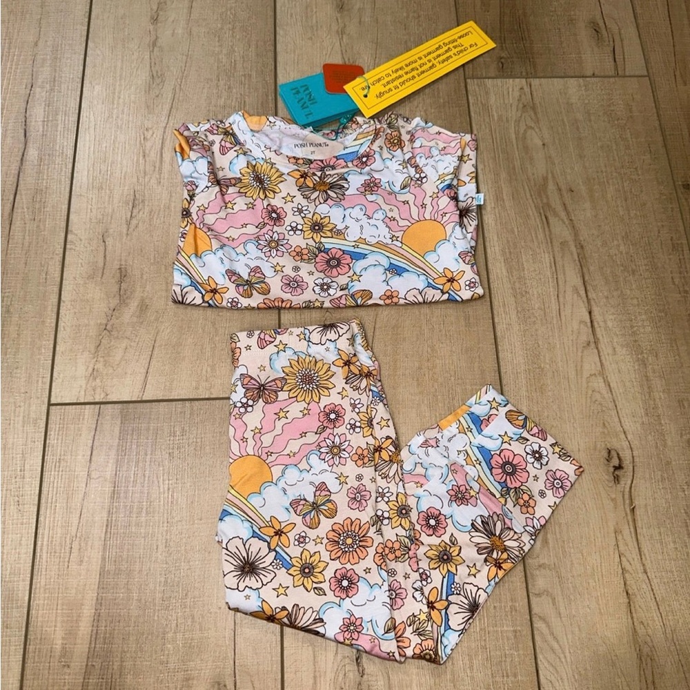 NWT Posh Peanut Dolly long sleeve Two-Piece Set size 2T